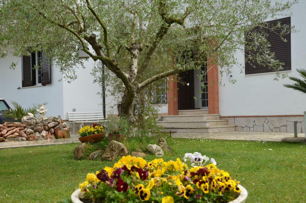 Hotel Il Grifo Sabaudia Zewnętrze zdjęcie